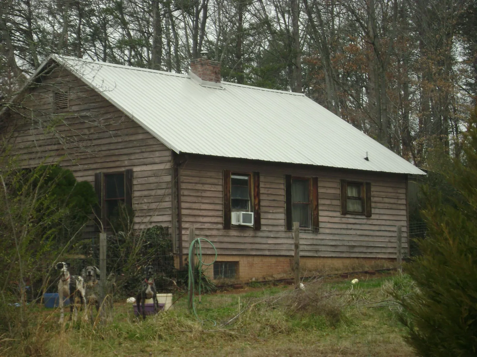 White metal roof on an old wood sided farmhouse, from a Metal Roof Installation job in Nathrop